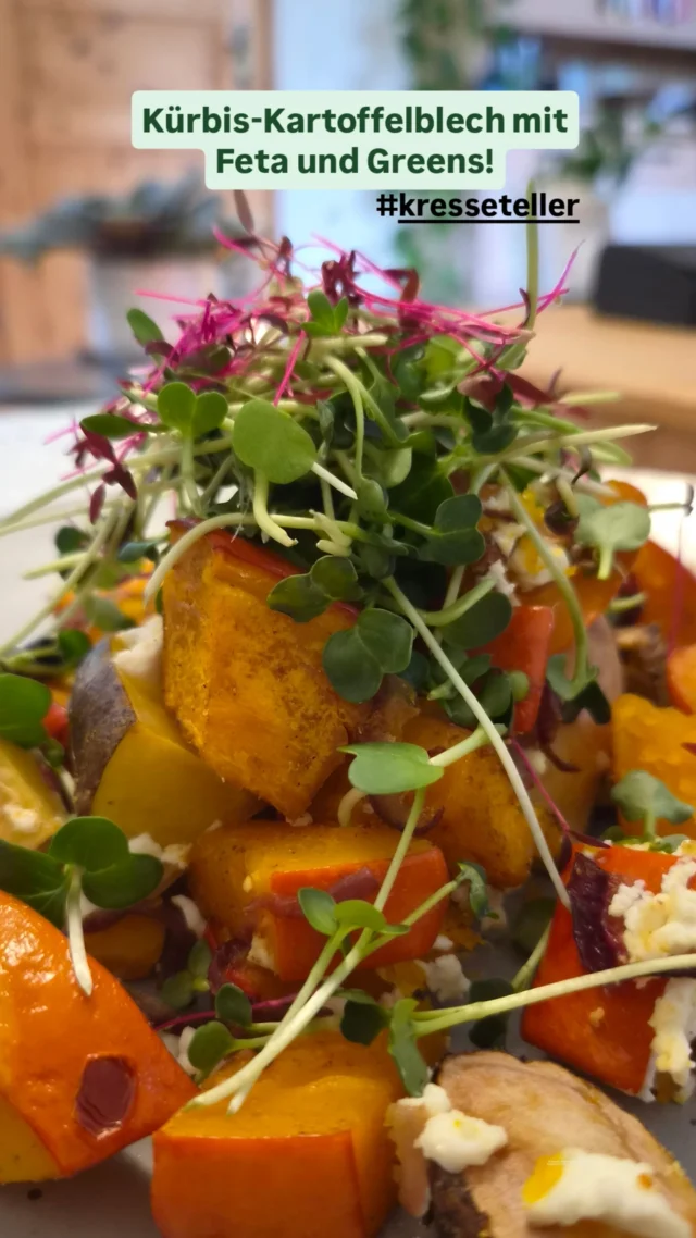 Moin, Herbstküche! 🍂🌱

Kürbis, Kartoffeln und Feta aufs Blech – die Microgreens kommen ganz zum Schluss frisch obendrauf. So trifft warmes Ofengemüse auf frischen Geschmack.

Für uns gehört zum guten Essen auch, mit dem zu kochen, was die Jahreszeit hergibt, und Lebensmittel wertzuschätzen. Genau das verbindet uns mit Slow Food.

Was darf bei euch auf einem herbstlichen Ofenblech nicht fehlen?

Bettina & Maurice

#MicrogreensOstsee #Herbstküche #Microgreens #SlowFood #Glücksburg