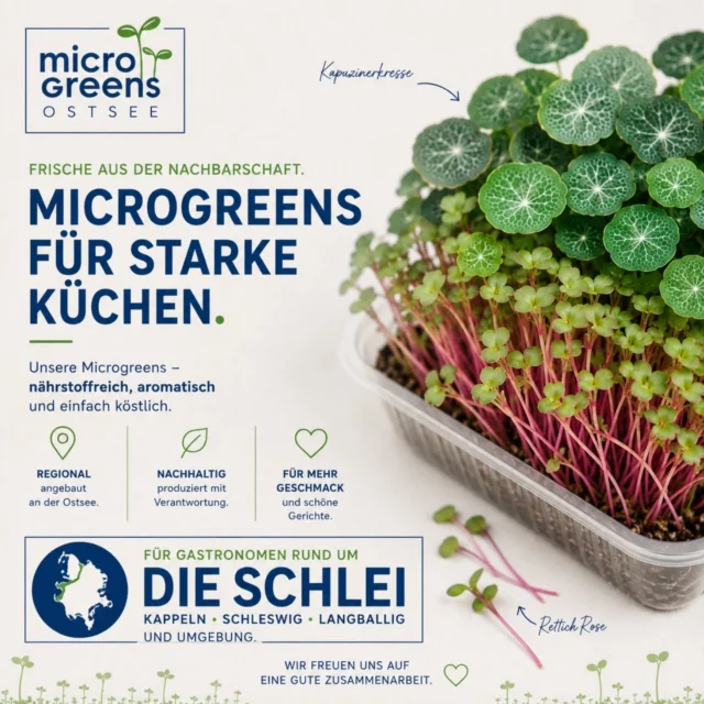 Kennst Du schon unsere Microgreens aus Glücksburg?#Microgreens #Microgreensostsee #regionaleprodukte #gesundessen #köstlichmitnährwert