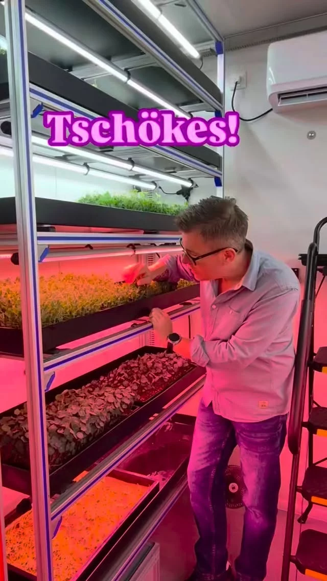 Ich bin paar Tage im Ruhrpott und die Greenies fehlen jetzt schon...💚#Microgreens #Microgreensostsee #regionaleprodukte #regionalgenial #wochenmarktliebe