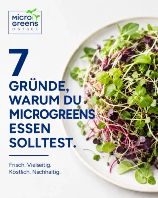 #MicrosoftOstsee
#Microgreens
#regionaleprodukte
#gesundessen #kundenlover @hiesige_hoefe @feinheimisch.sh @innenstadt_flensburg