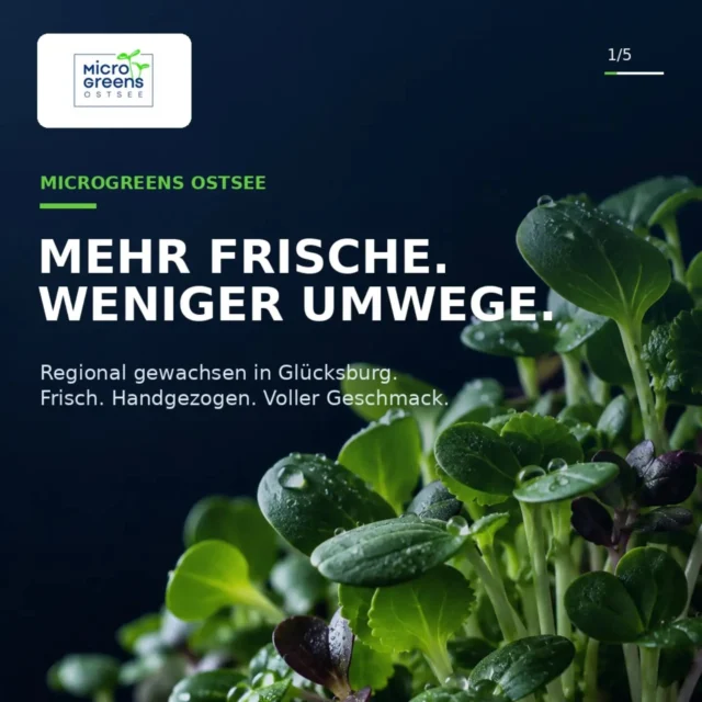 #MicrogreensOstsee
#regionaleprodukte
#gesundessen #kundenlover #Microgreens @feinheimisch.sh @hiesige_hoefe @hoefer_schobuell